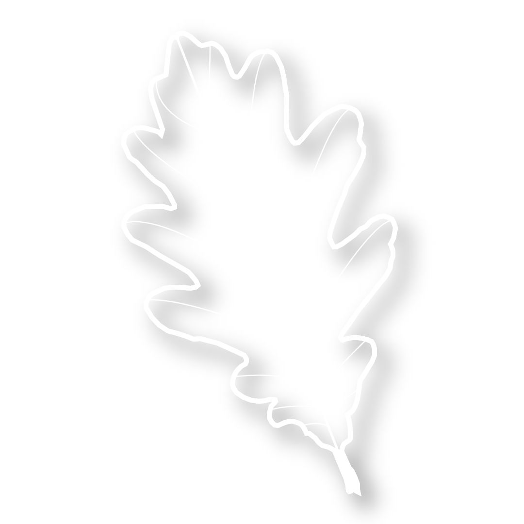 a leaf.